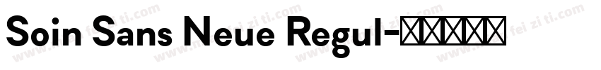 Soin Sans Neue Regul字体转换